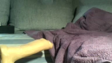 Pitterporz  19-10-2021 Recorded Video XXX